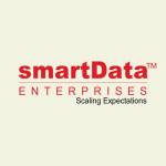 smartData Inc Profile Picture
