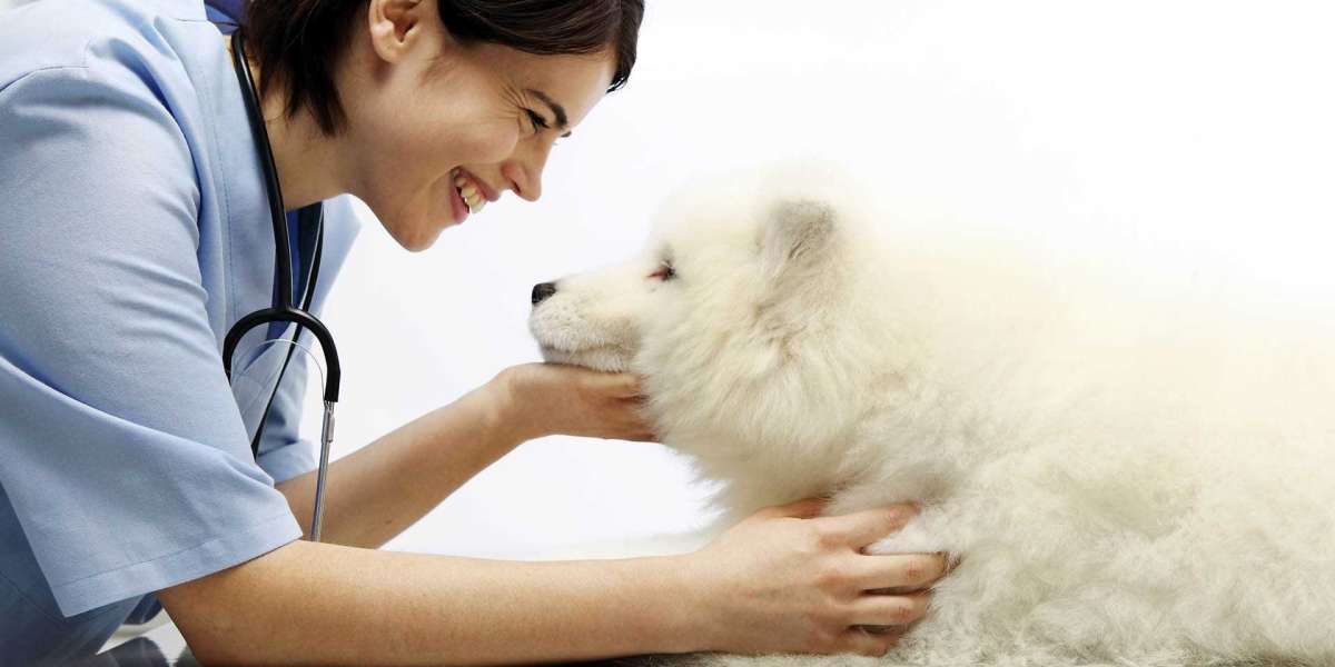 Noble Park Vet | Keysborough Veterinary Practice