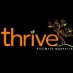 Thrive Business Marketing Profile Picture