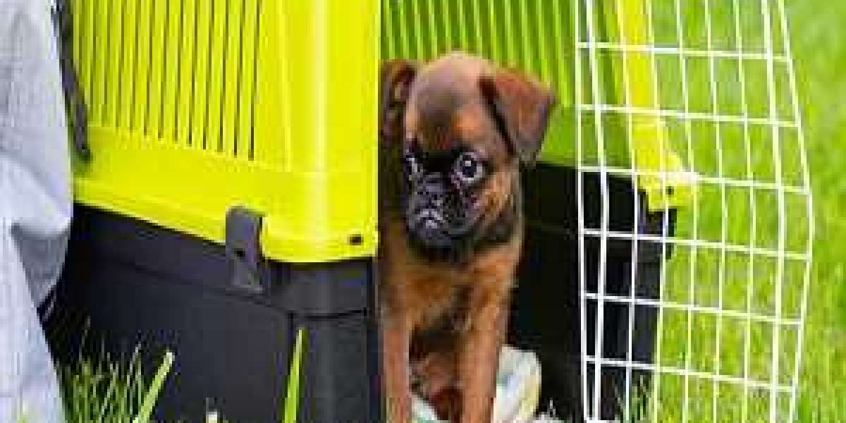 Pet Carriers Market Insight, Opportunities and Challenges 2021-2028