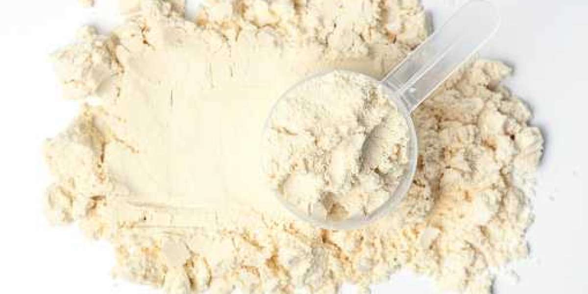 Whey Market Share, Segments and Dynamics Analysis by 2022-2030