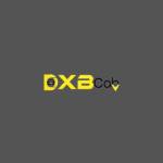 Dxb Tour And Travels Pvt Ltd Profile Picture