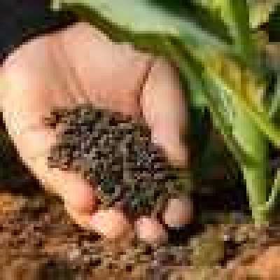 Organic Fertilizer Profile Picture