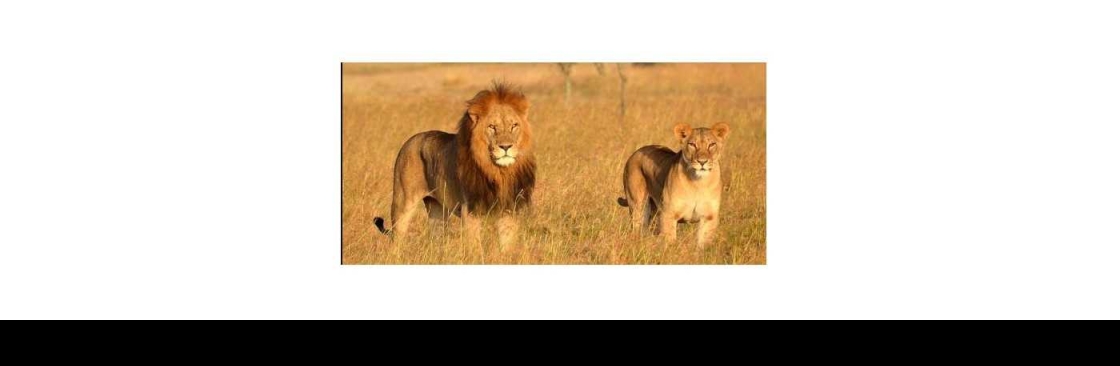 Oribi Safaris Cover Image